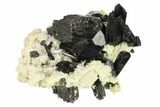Black Tourmaline (Schorl) Crystals with Orthoclase - Namibia #132232-1